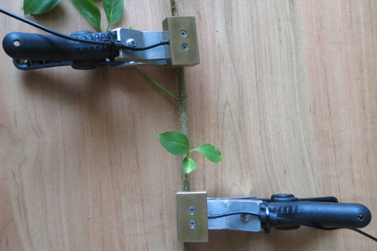 腾博会官网(tengbo)专业效劳,诚信为本