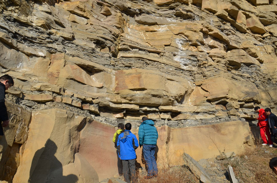 腾博会官网(tengbo)专业效劳,诚信为本