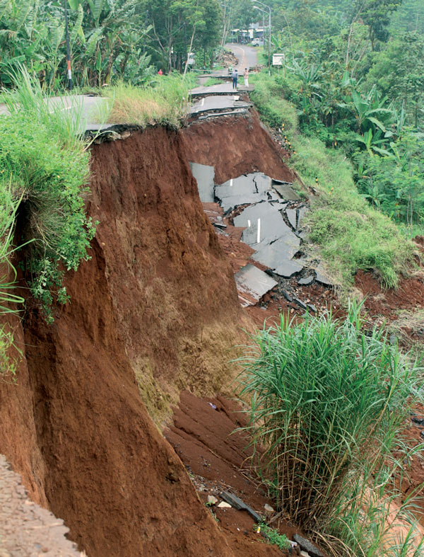 腾博会官网(tengbo)专业效劳,诚信为本