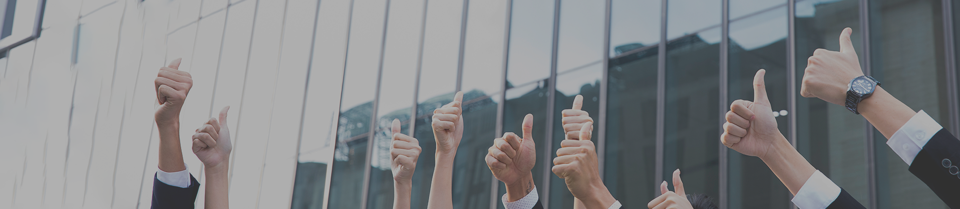 腾博会官网(tengbo)专业效劳,诚信为本