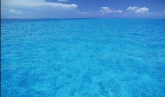 腾博会官网(tengbo)专业效劳,诚信为本